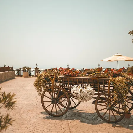 Villa Carevic &