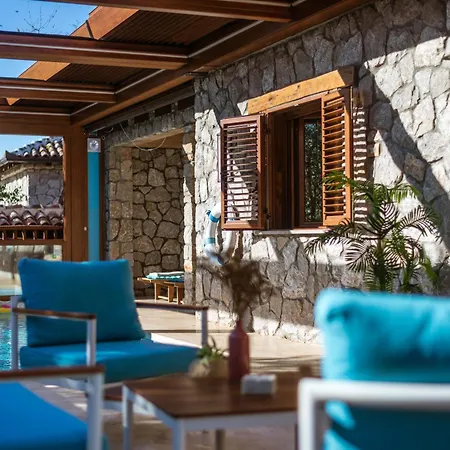 Villa Carevic &