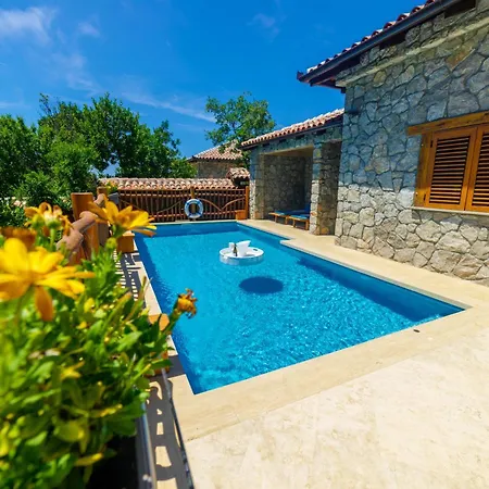 Villa Carevic & *